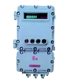 BDXY82系列防爆智能(稱重)顯示器儀表箱(IIB IIC)